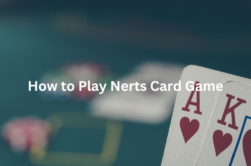 How to Play Nerts Card Game